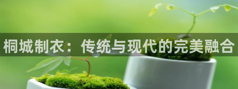 天辰娱乐网址娱乐游戏