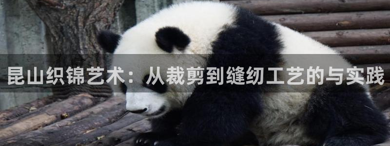 天辰娱乐平台app下载