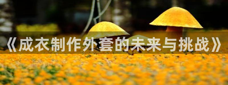 天辰娱乐下载