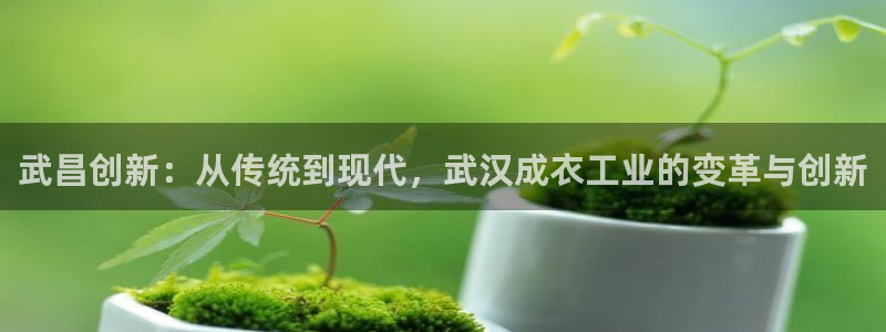 天辰娱乐 注册