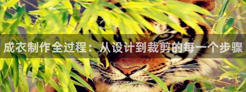 天辰娱乐股东
