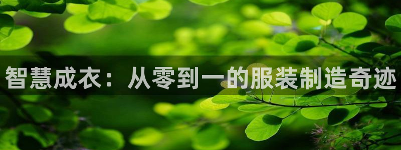 天辰娱乐51137